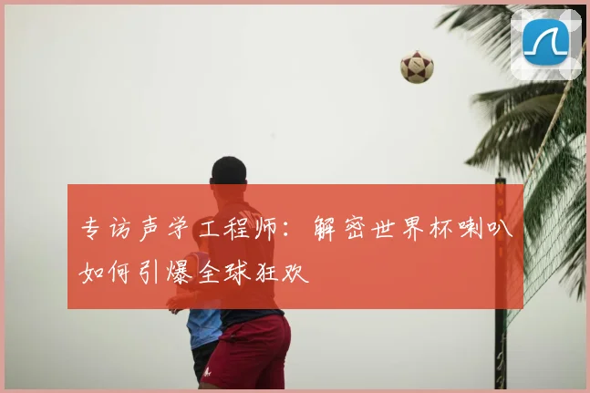 专访声学工程师:解密世界杯喇叭如何引爆全球狂欢