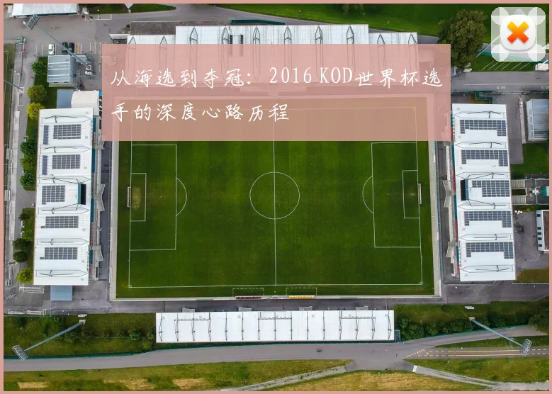 从海选到夺冠:2016 KOD世界杯选手的深度心路历程