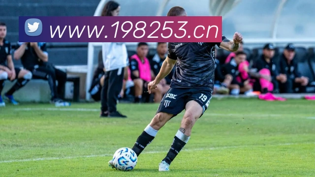 App Interface Preview